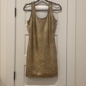 Bronze Beauty Dress